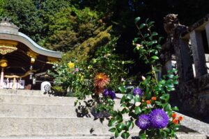 令和６年11月9日「山茶花ガラスボール」